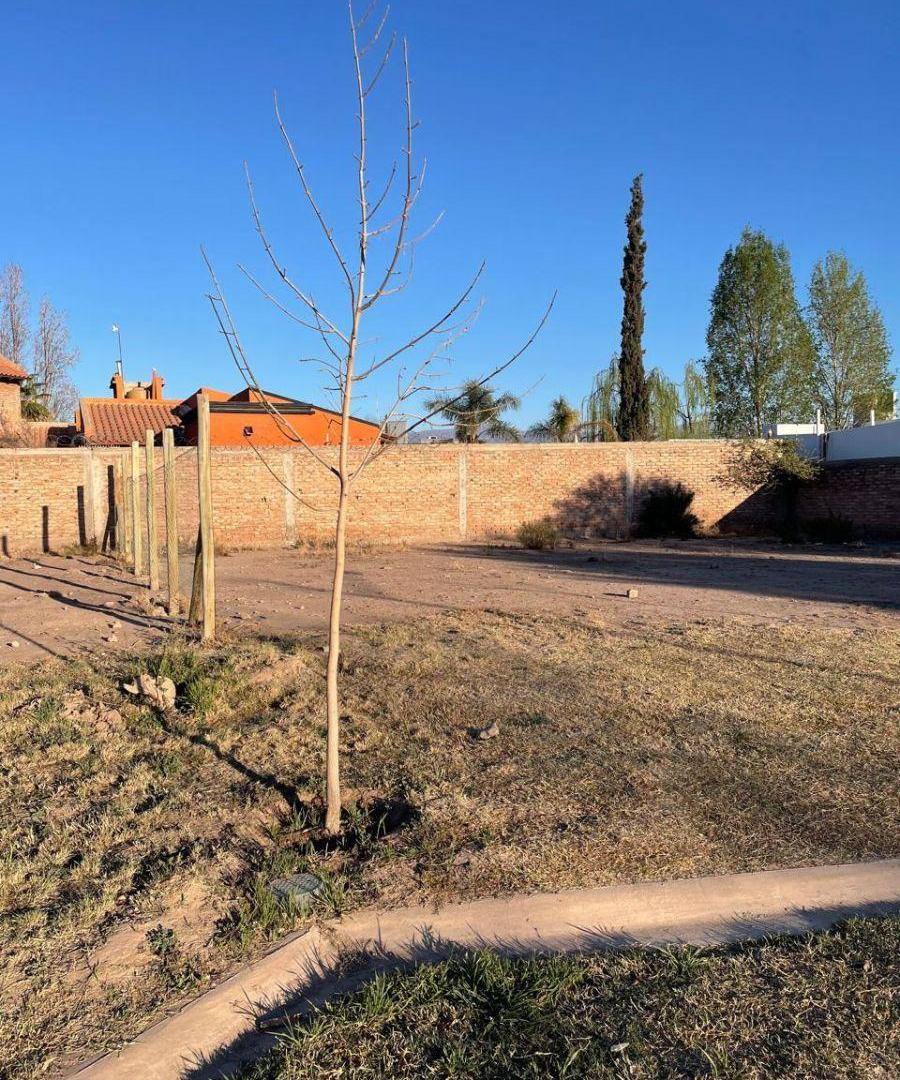 Foto de LOTE EN VENTA .- BARRIO DON EMILIO, imagen 5