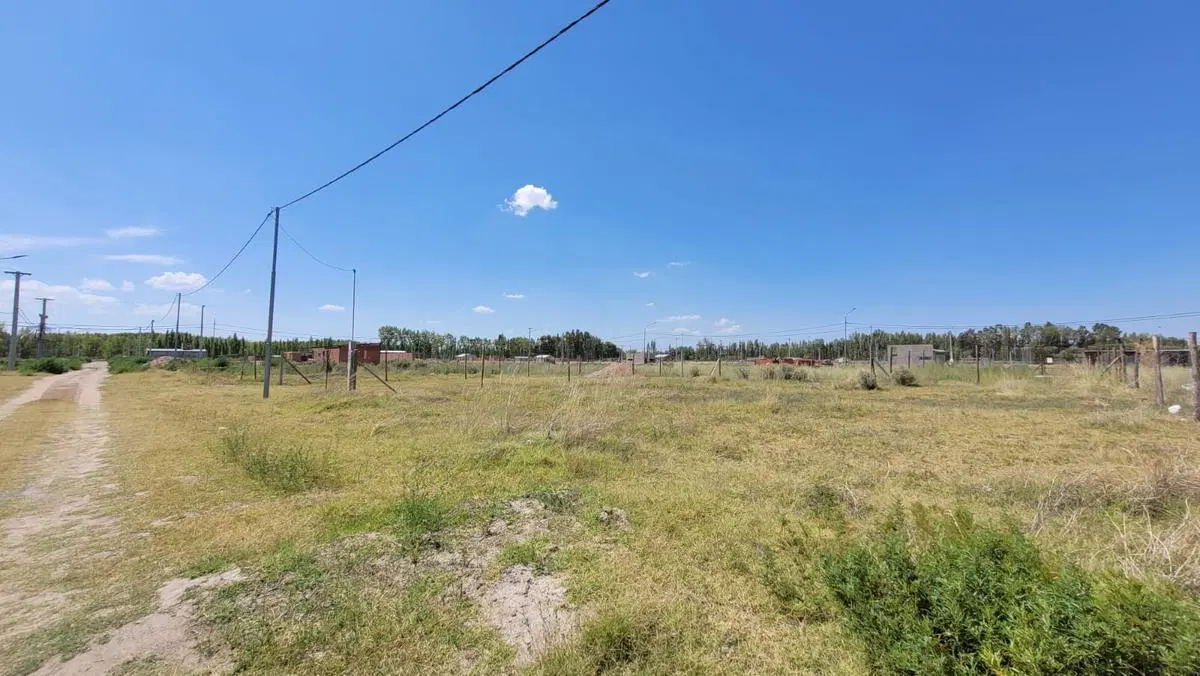 Terreno-Cooperativa 127 hectareas-Plottier 2