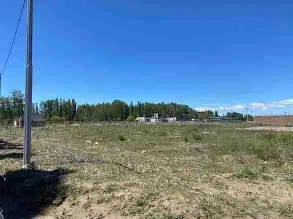 Terreno-Cooperativa 127 hectareas-Plottier 4