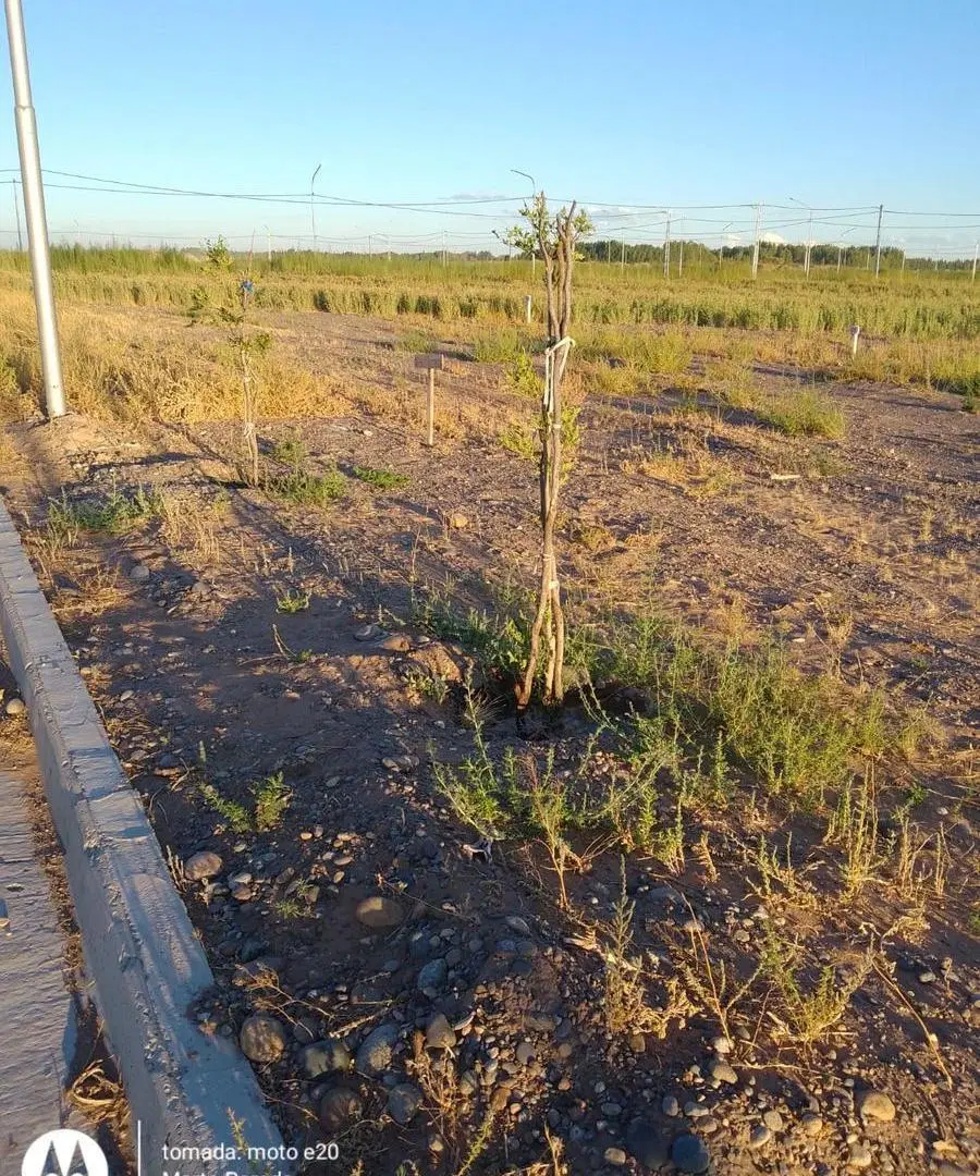Terreno en Plottier 4