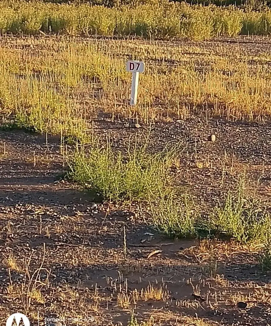 Terreno en Plottier 5