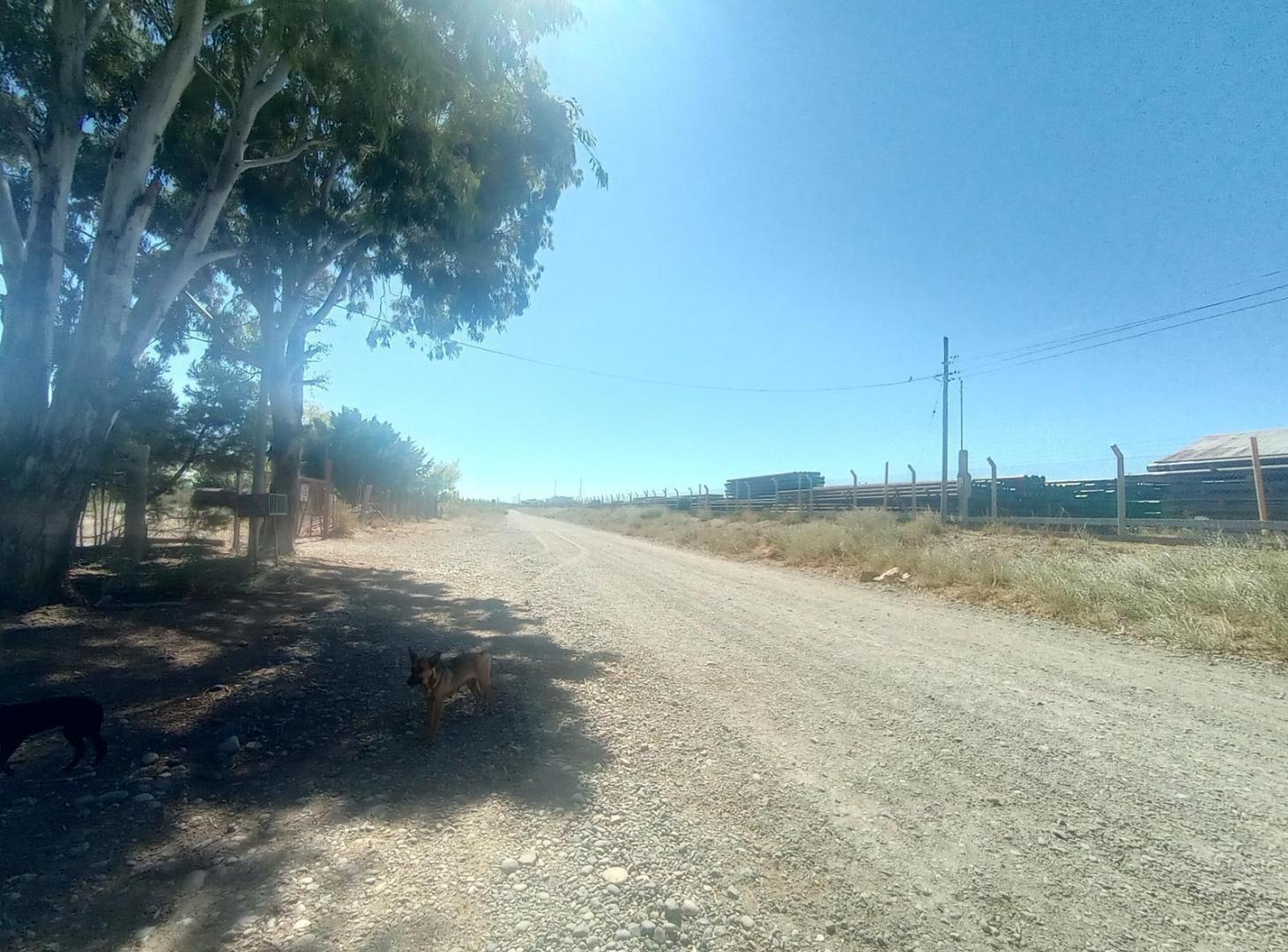 Foto de Galpón ubicado en la ciudade de Senillosa, provincia de Neuquén., imagen 4