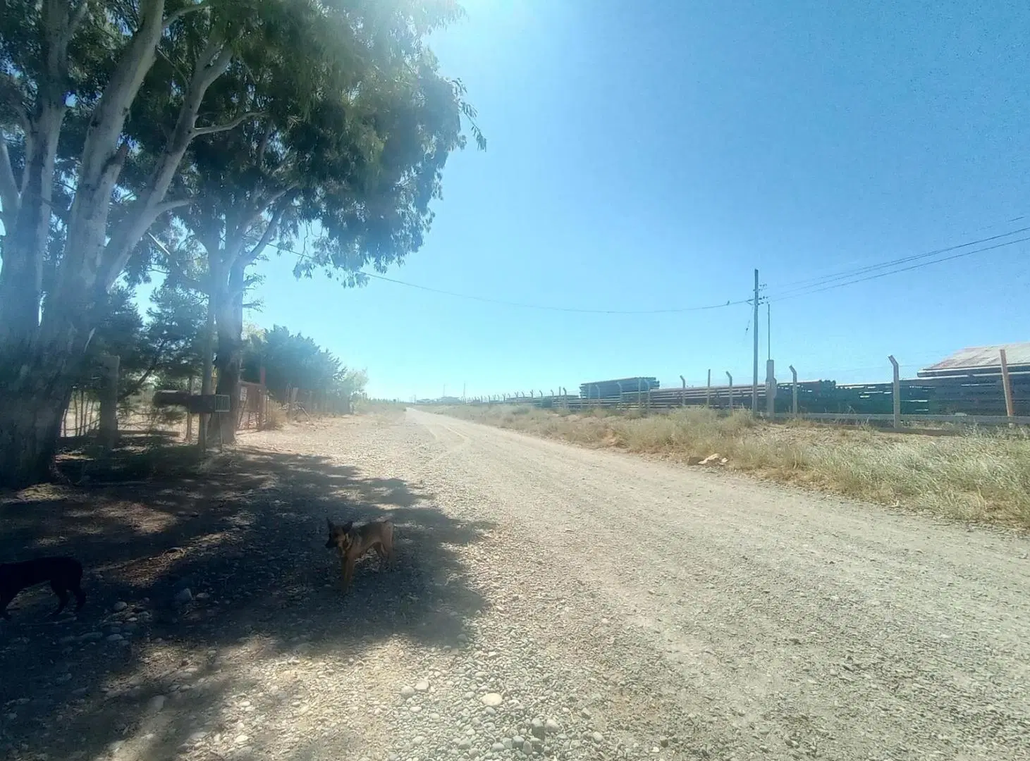 Galpón ubicado en la ciudade de Senillosa, provincia de Neuquén. 4
