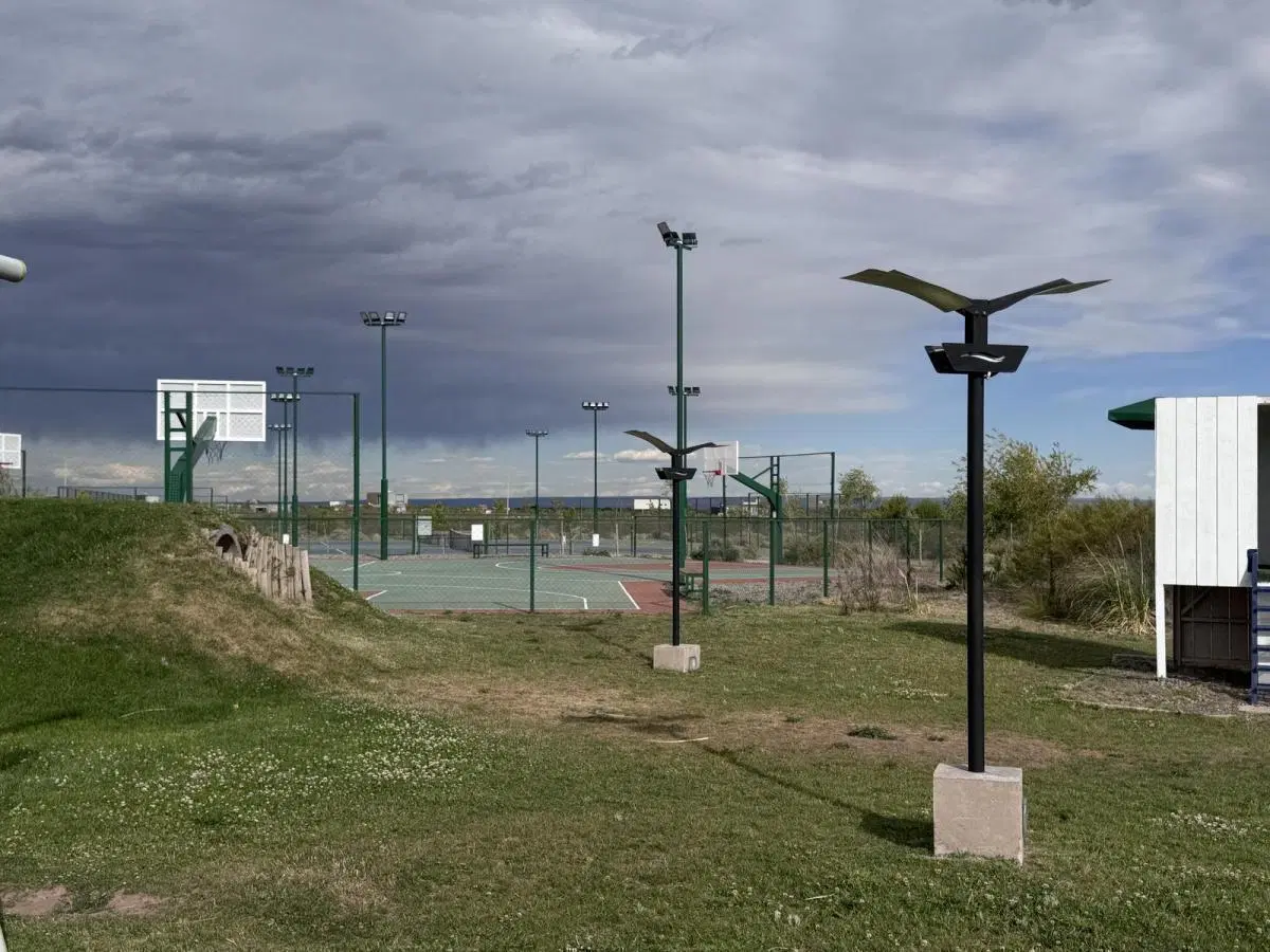 Terreno en Chocón medio etapa médanos 4