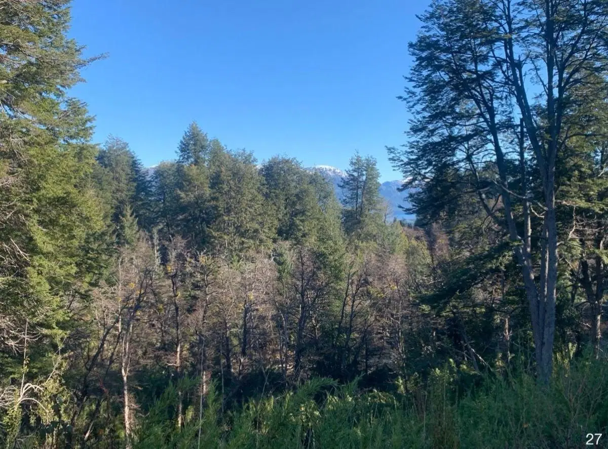 Terreno en Villa la Angostura 5