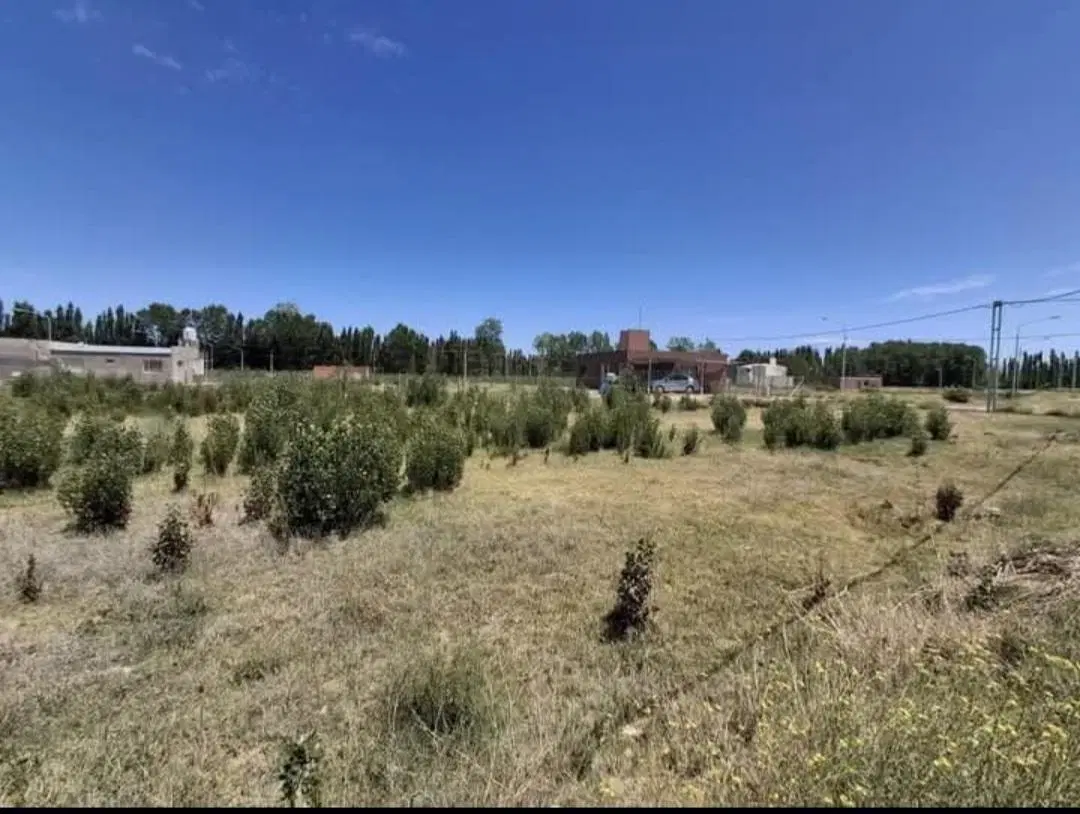 Venta Lote-Petroleros Jerárquicos -Plottier 8
