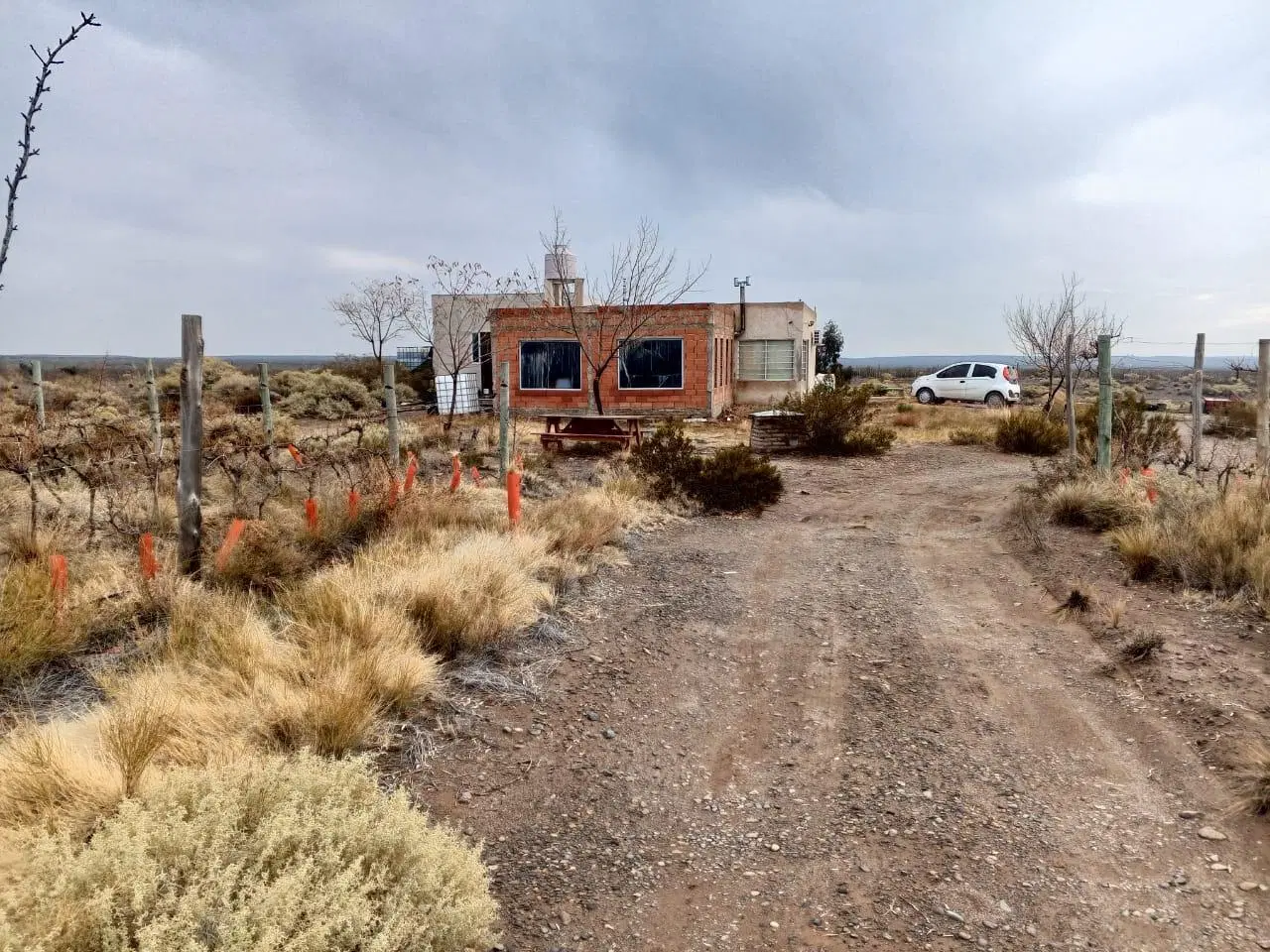 VENTA CASA QUINTA CON VIÑEDOS 3
