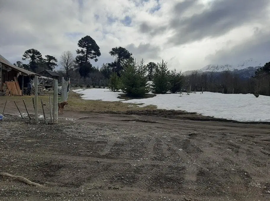 TERRENO EN VENTA EN MOQUEHUE 8