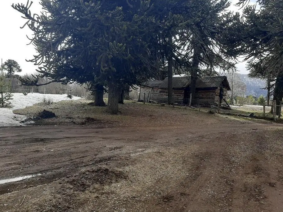 TERRENO EN VENTA EN MOQUEHUE 2