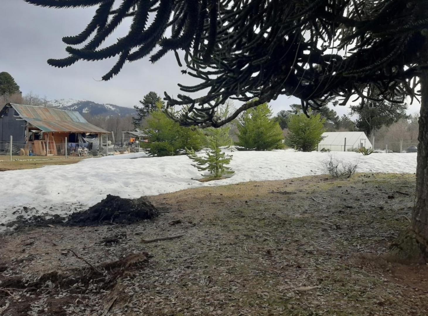 TERRENO EN VENTA EN MOQUEHUE