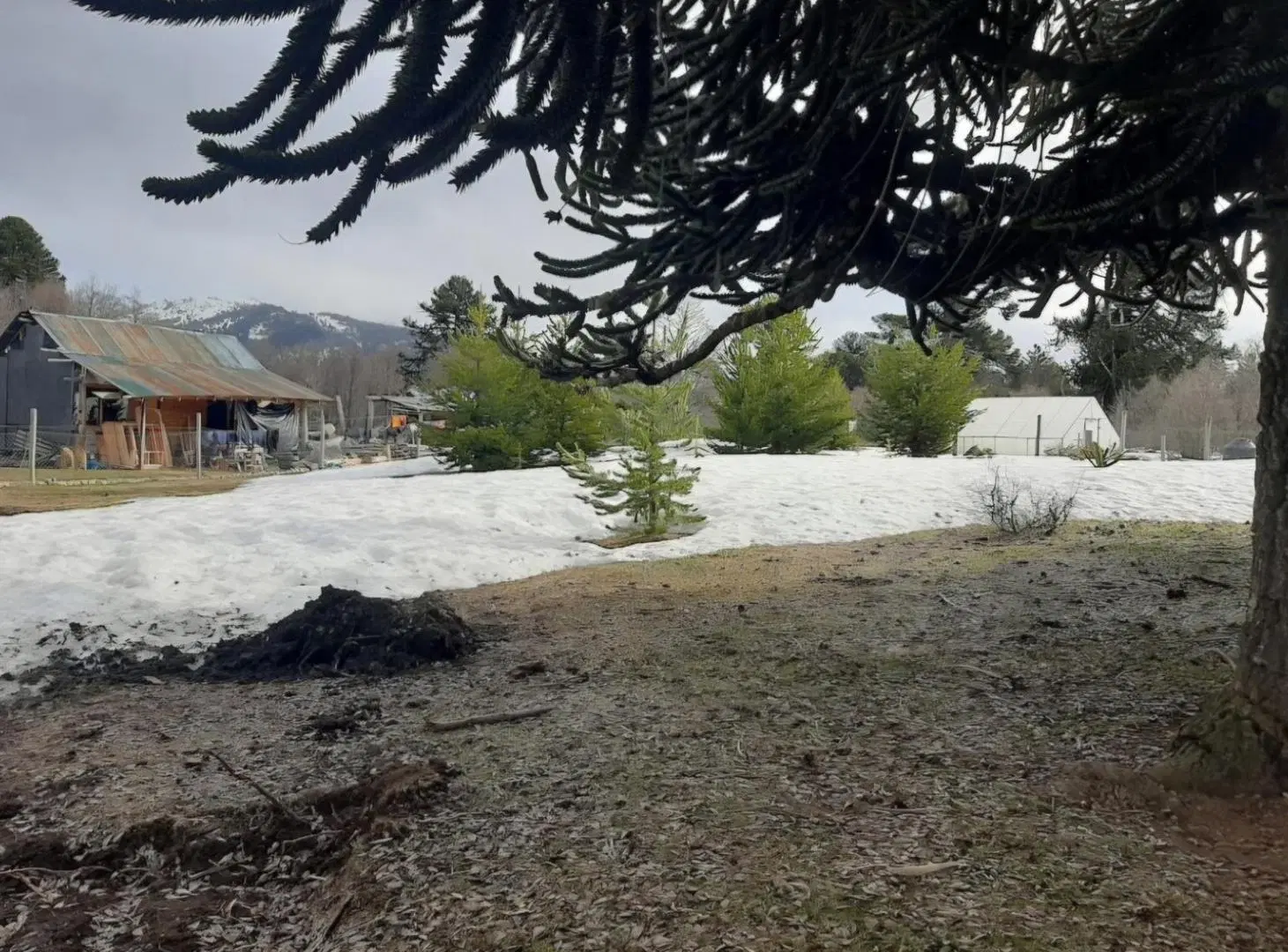 TERRENO EN VENTA EN MOQUEHUE 4