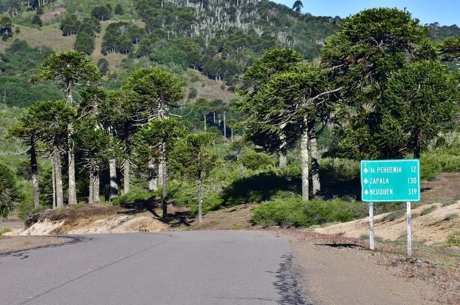 TERRENO EN VENTA EN MOQUEHUE 3