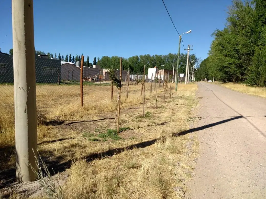 TERRENO A LA VENTA CON AVANCE DE OBRA 5