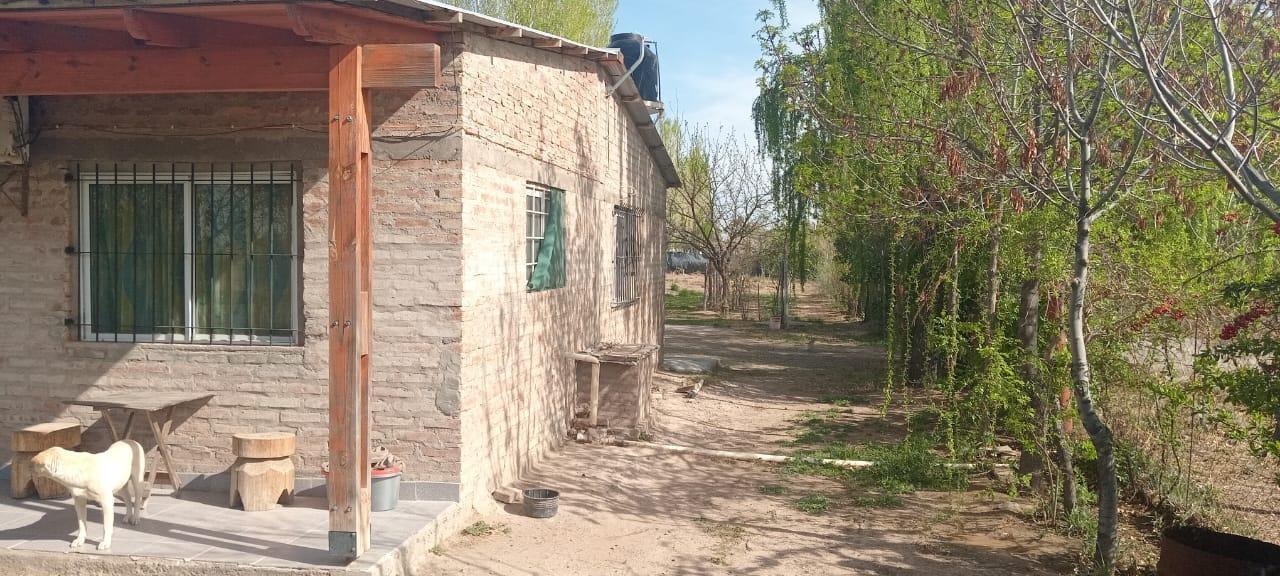 Foto de Casa en Cinco Saltos, imagen 2