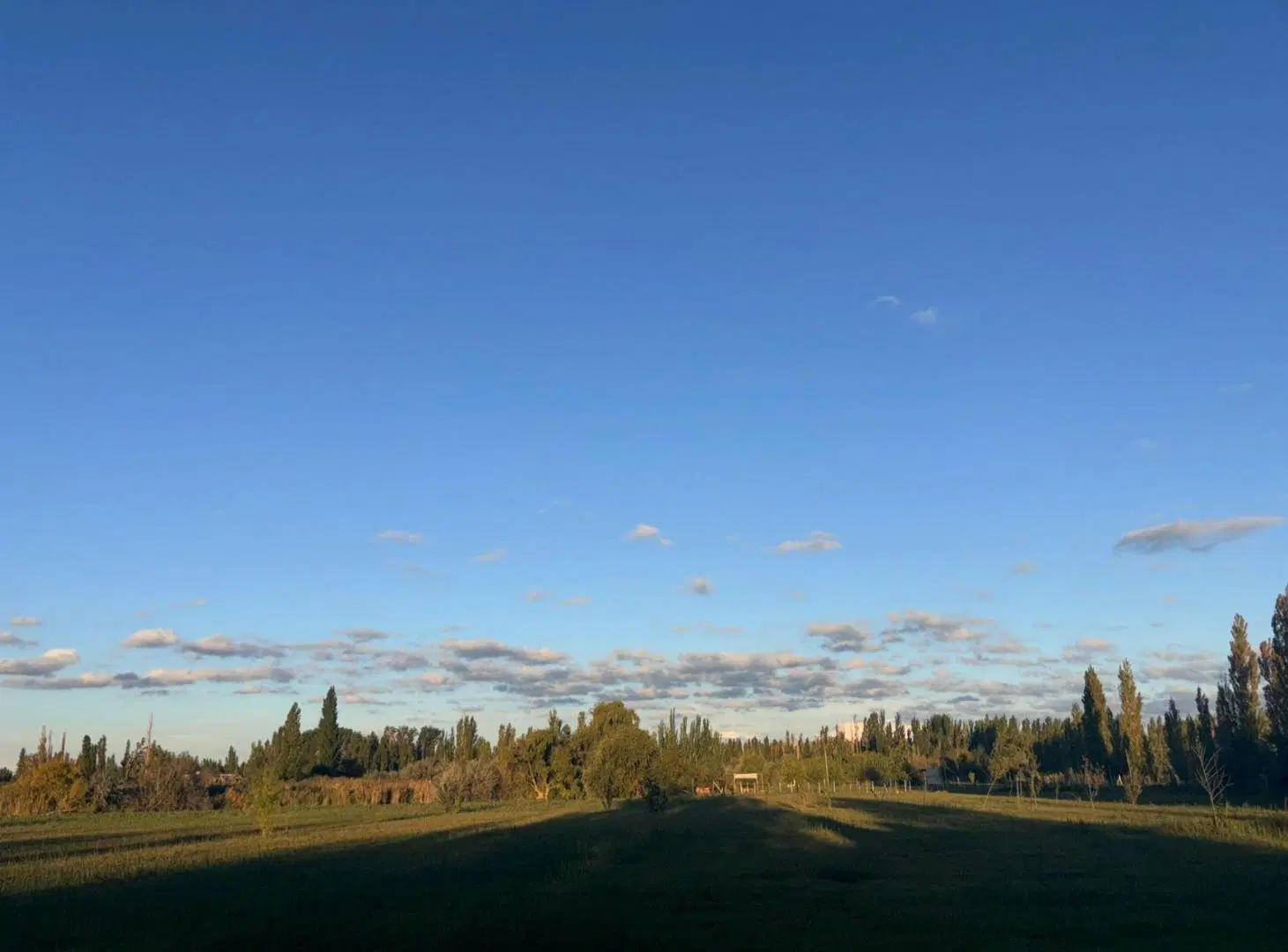 TERRENO DE 3000M2 EN VENTA EN CERVANTES GRAL ROCA 2