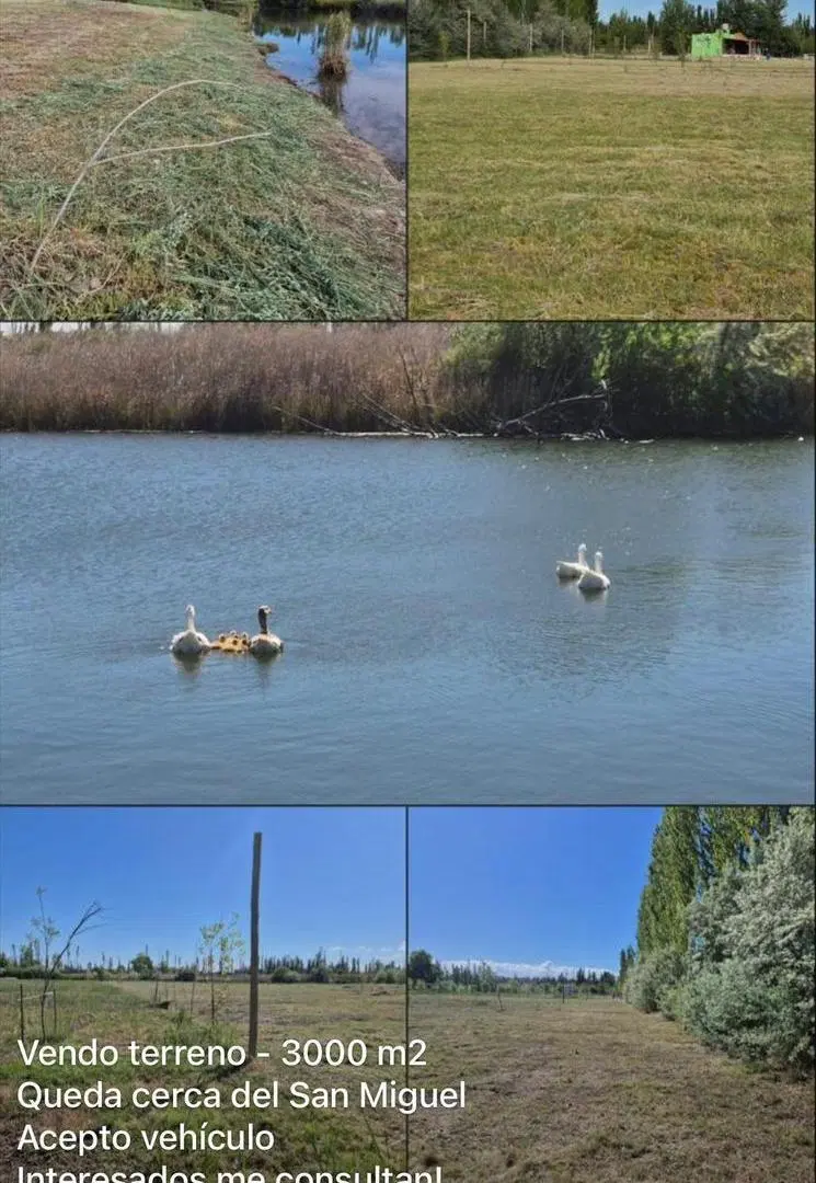 TERRENO DE 3000M2 EN VENTA EN CERVANTES GRAL ROCA 4