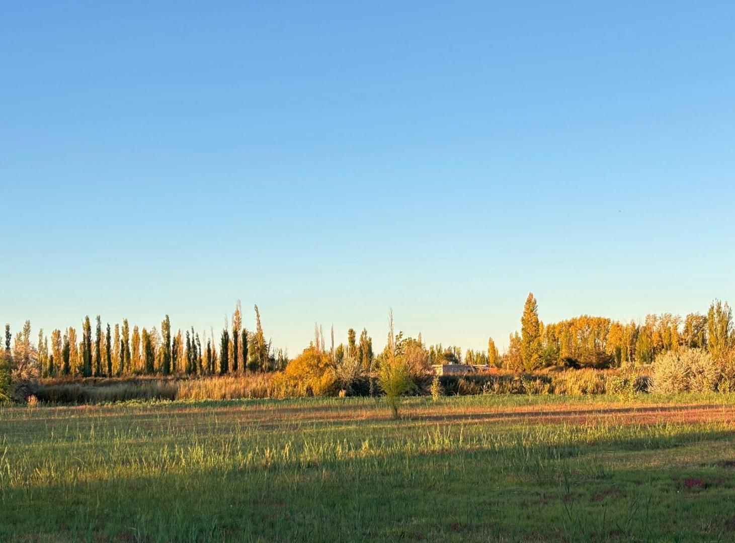 TERRENO DE 3000M2 EN VENTA EN CERVANTES GRAL ROCA