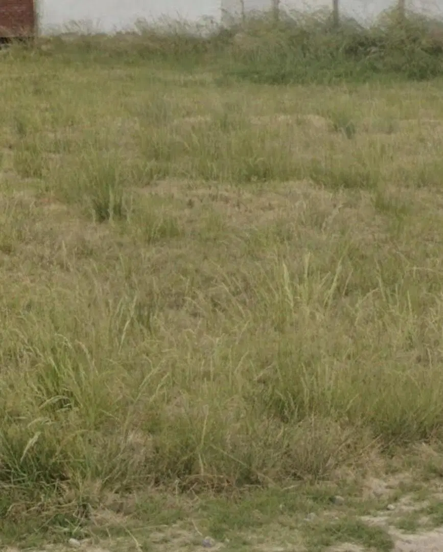TERRENO EN VENTA ALLEN- LOTEO LOS JUANES 5