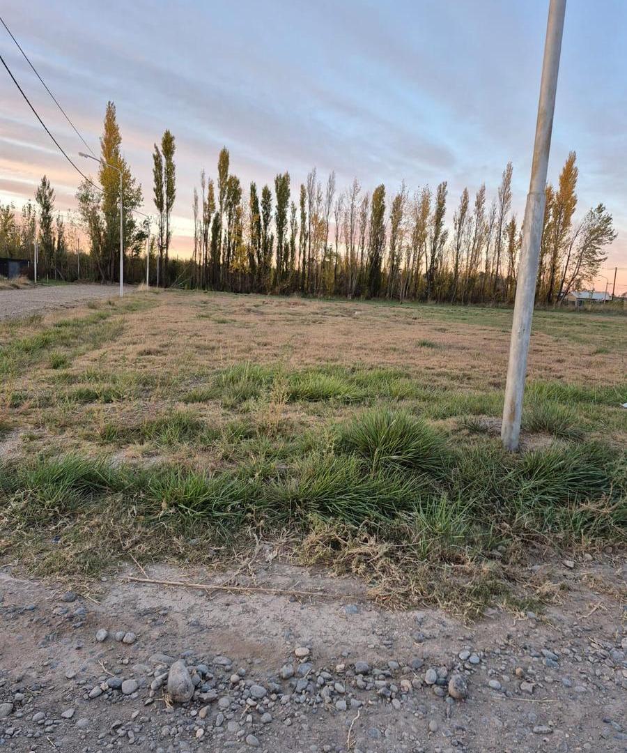 TERRENO EN VENTA EN LOTEO LOS JUANES ALLEN