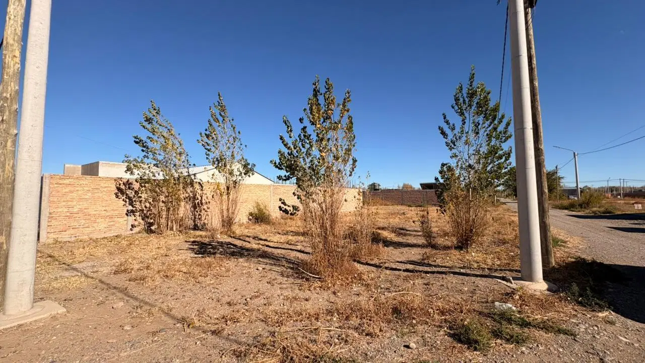 Terreno en Plottier 5