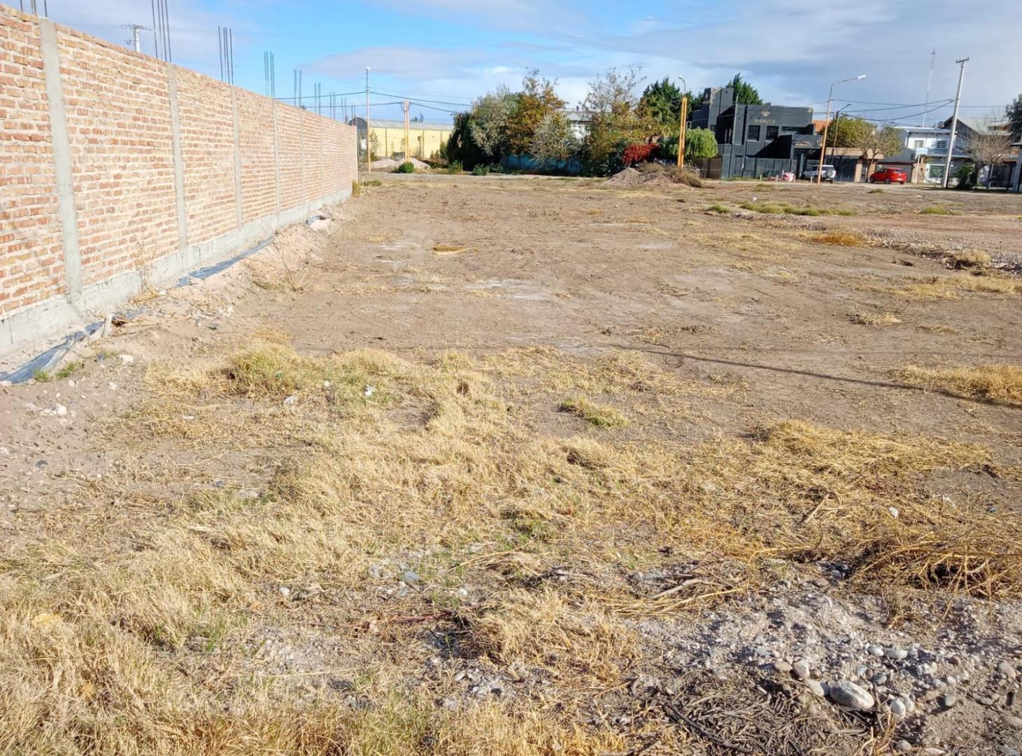 Terreno en Centenario