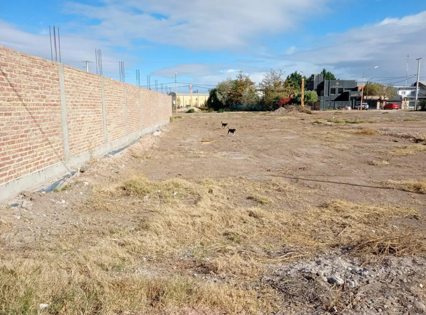 Terreno en Centenario 4