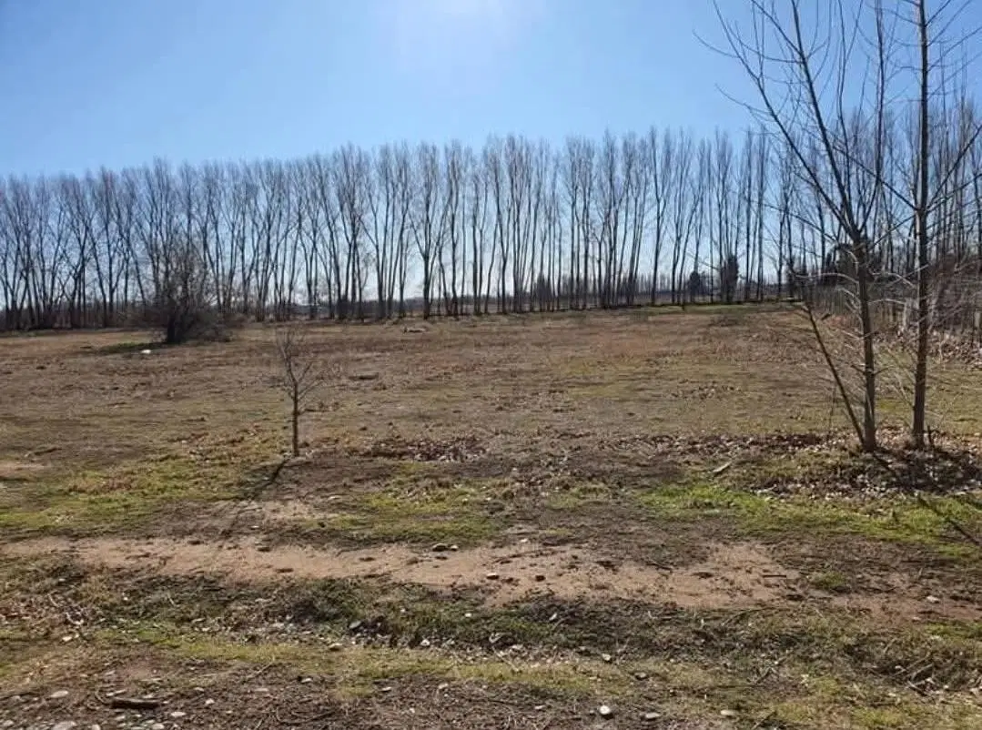 Terreno en Cipolletti 2