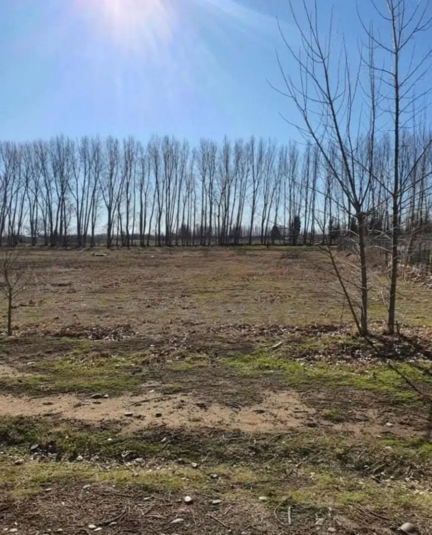 Terreno en Cipolletti 5