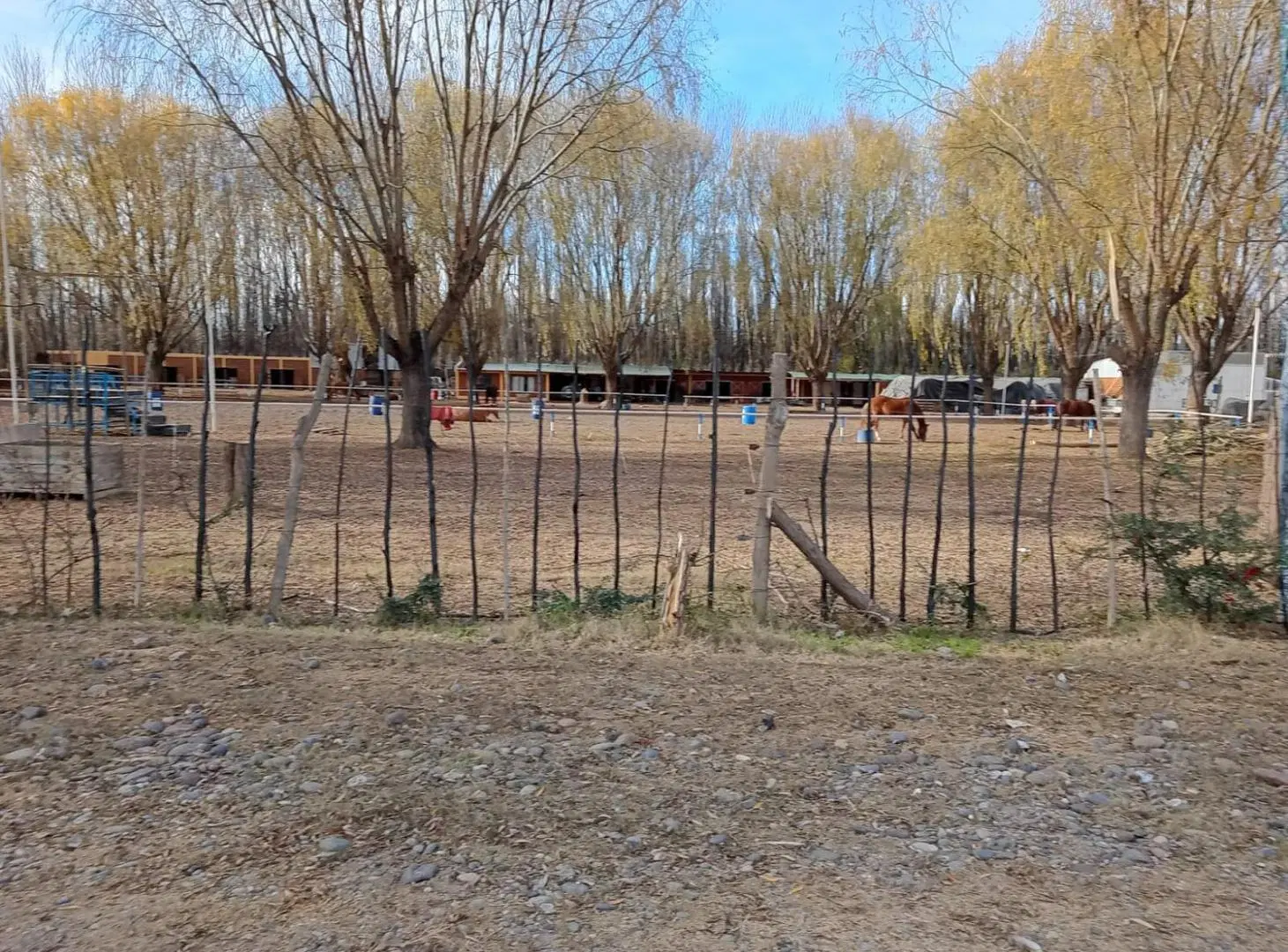 TERRENO EN VENTA EN LOTEO EL ESTRIBO CENTENARIO NEUQUÉN 5