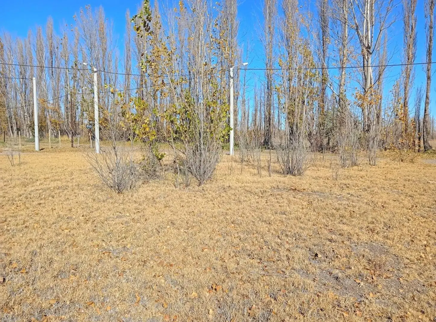 TERRENO EN VENTA EN LOS FRUTALES NEUQUÉN 3