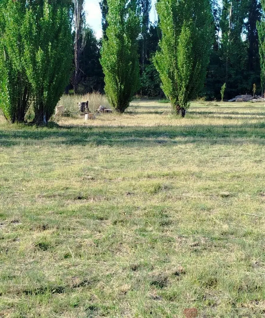 TERRENO EN VENTA DE 2000 METROS CUADRADOS EN PLOTTIER 8