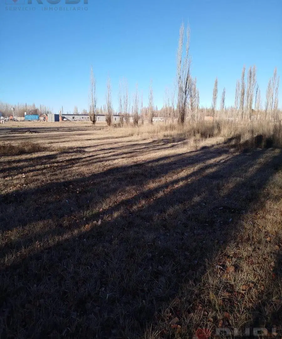 TERRENO EN VENTA DE 2000 METROS CUADRADOS EN PLOTTIER 4