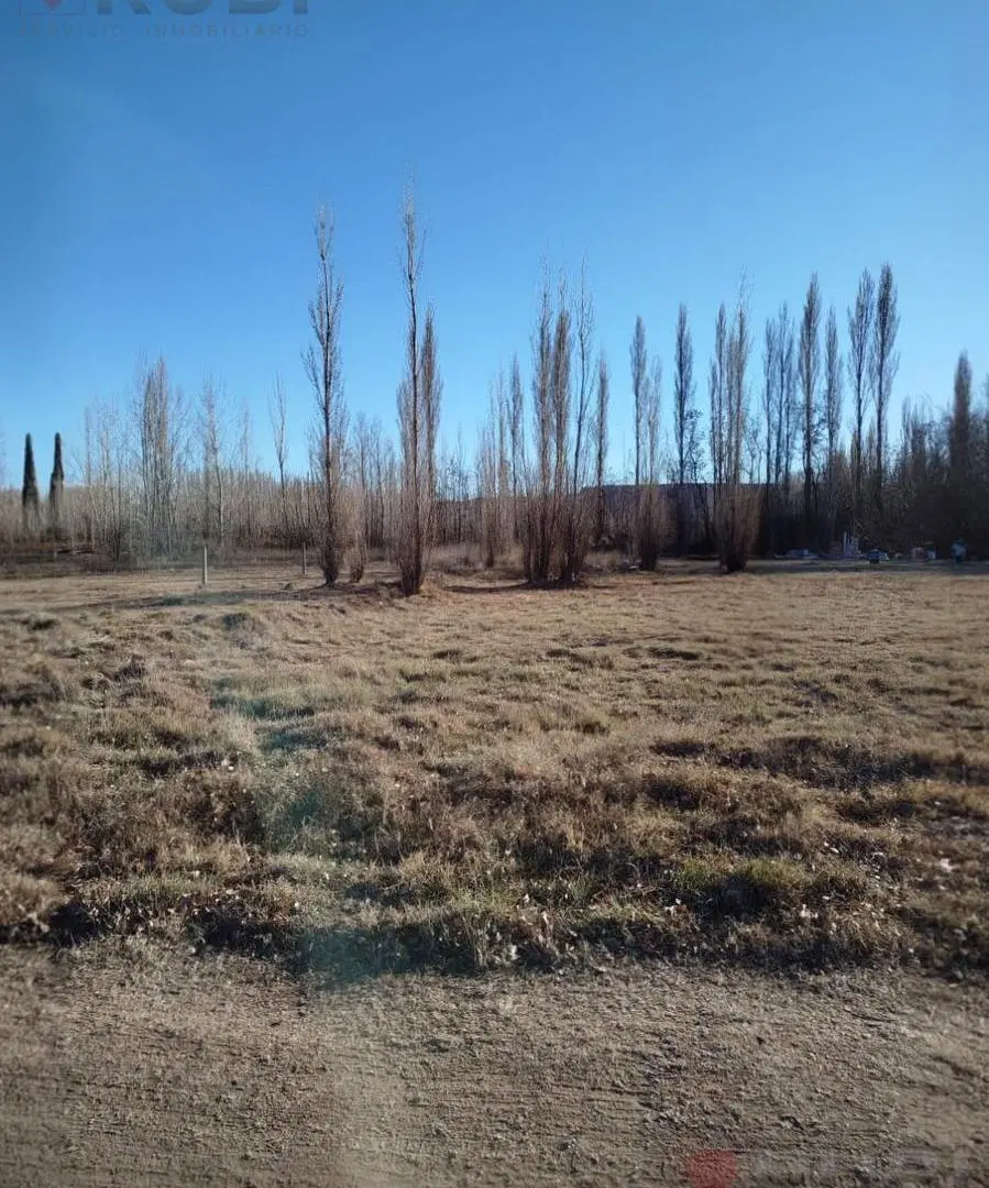 TERRENO EN VENTA DE 2000 METROS CUADRADOS EN PLOTTIER 3
