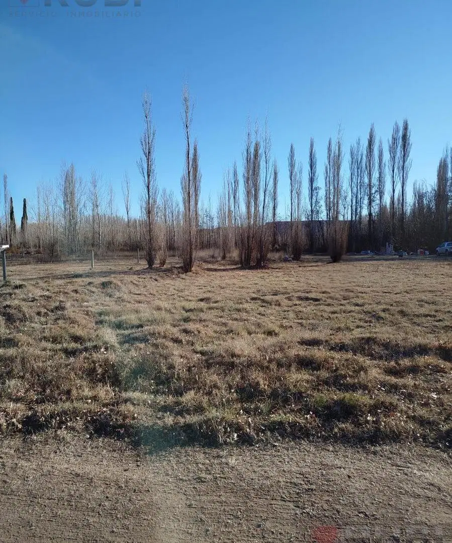 TERRENO EN VENTA DE 2000 METROS CUADRADOS EN PLOTTIER 2