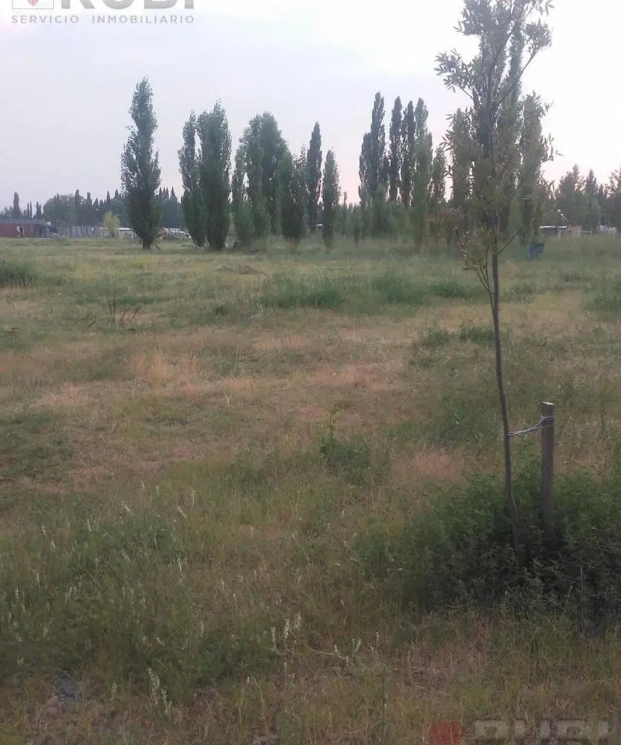 TERRENO EN VENTA DE 2000 METROS CUADRADOS EN PLOTTIER 5
