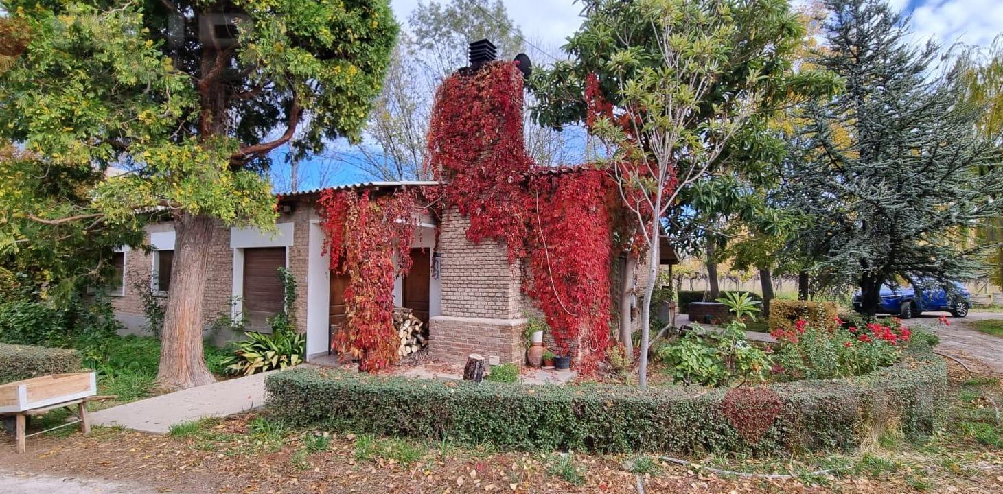 Foto de Chacra de 12 Hectareas en Venta ALLEN, imagen 3