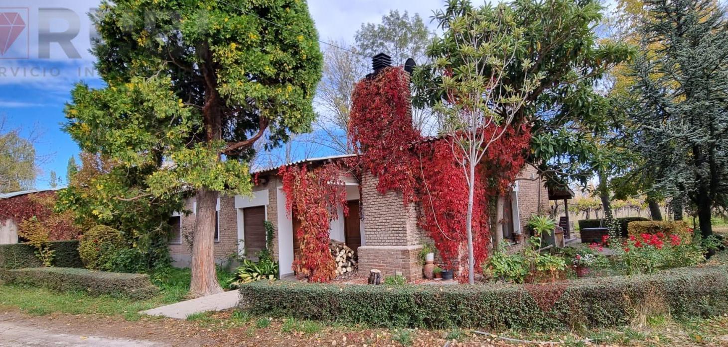 Foto de Chacra de 12 Hectareas en Venta ALLEN, imagen 1