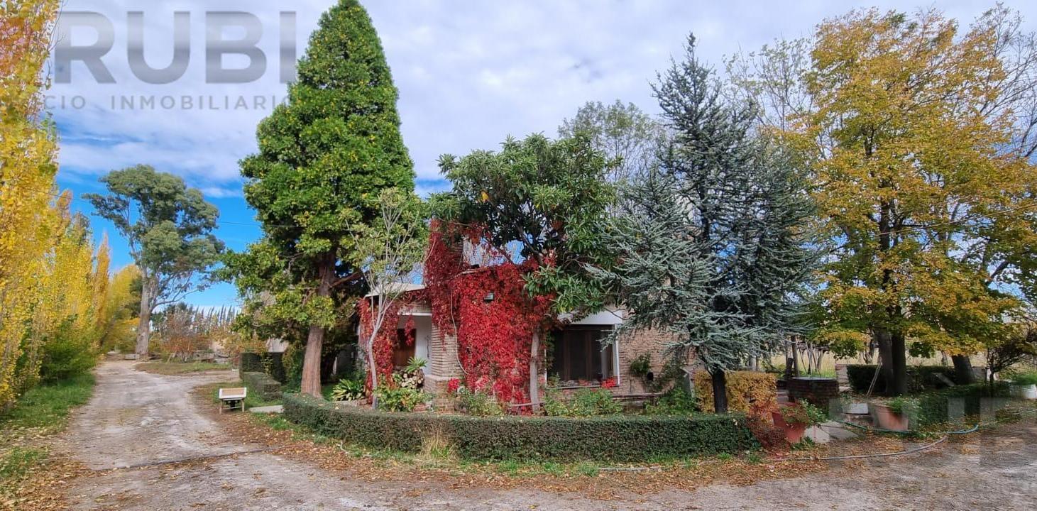 Foto de Chacra de 12 Hectareas en Venta ALLEN, imagen 5