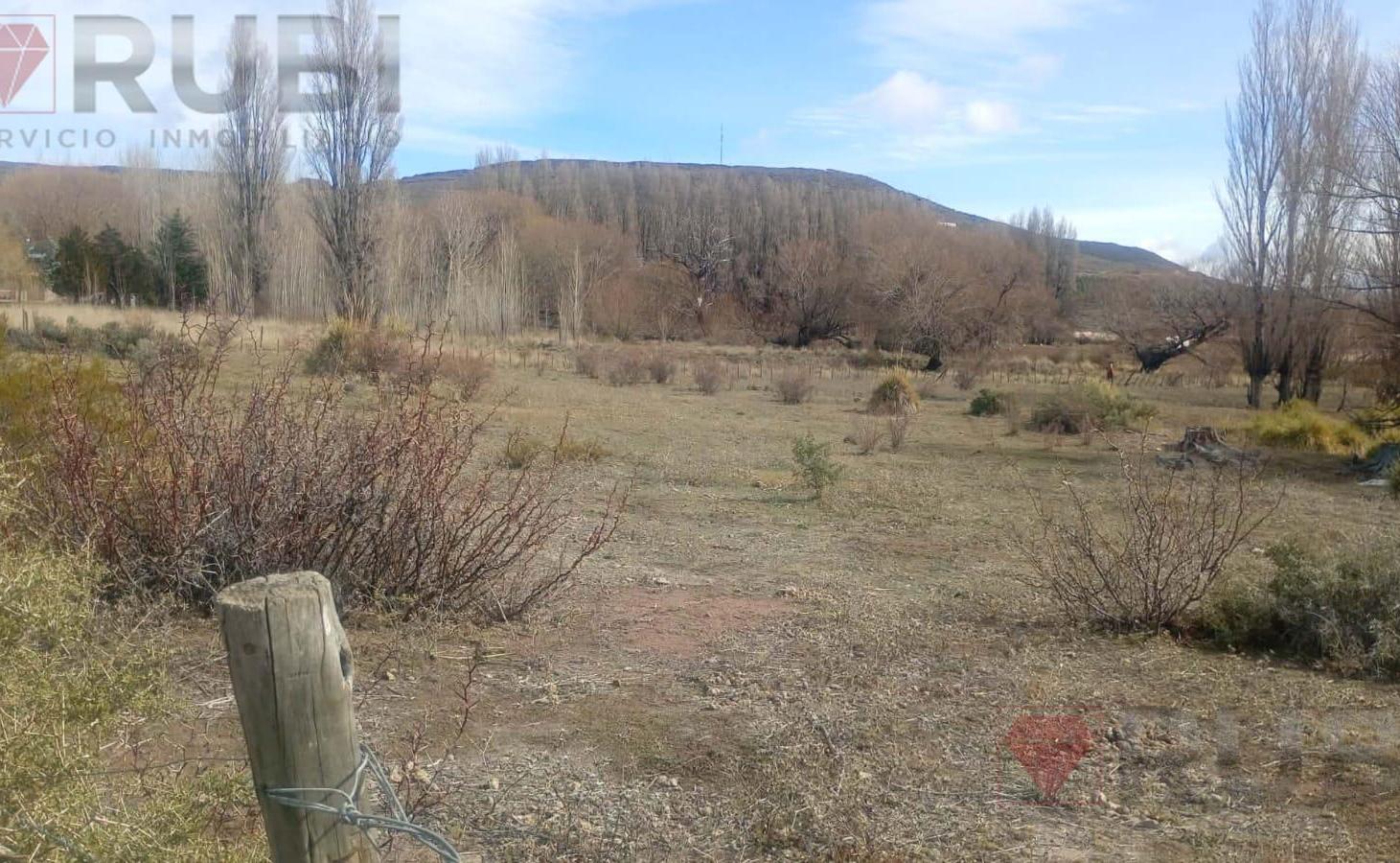 Foto de Terreno en Santo Tomas, imagen 2