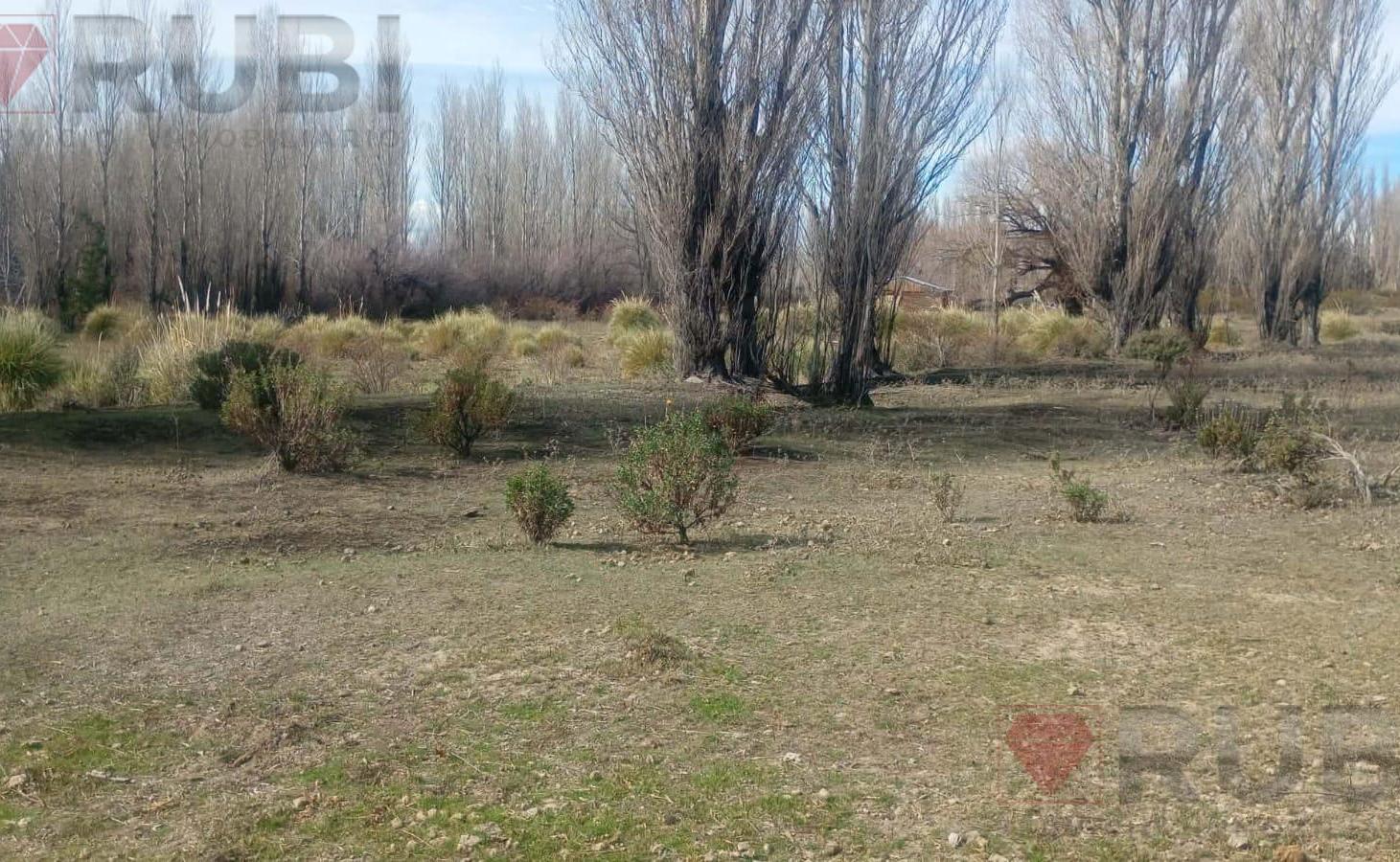 Foto de Terreno en Santo Tomas, imagen 5