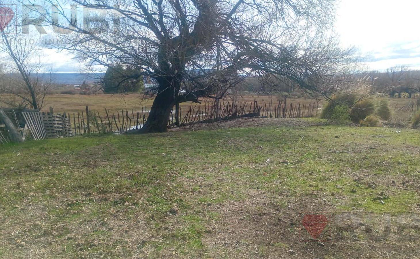 Foto de Terreno en Santo Tomas, imagen 1