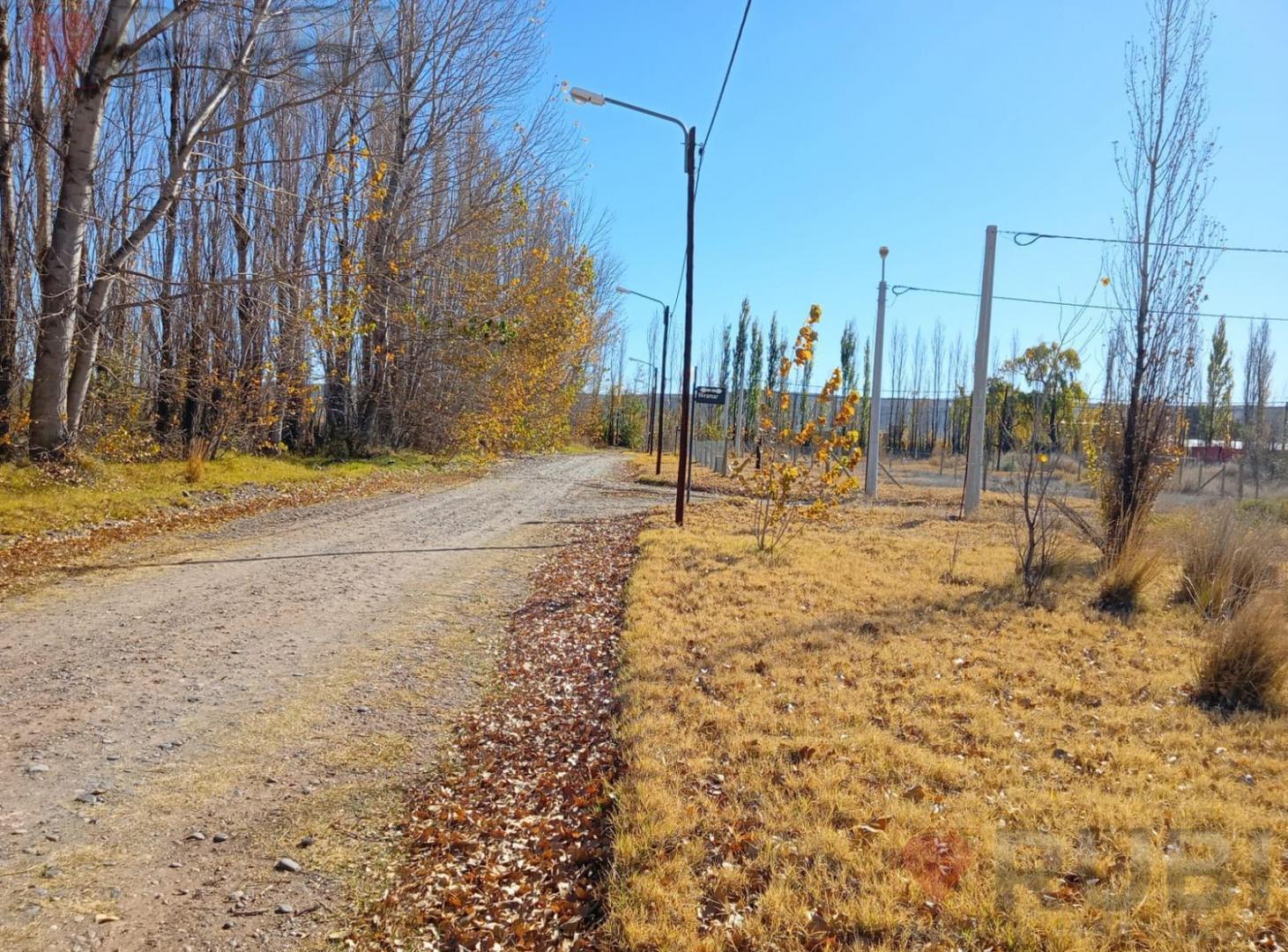 Foto de TERRENO EN VENTA EN LOS FRUTALES NEUQUÉN, imagen 1