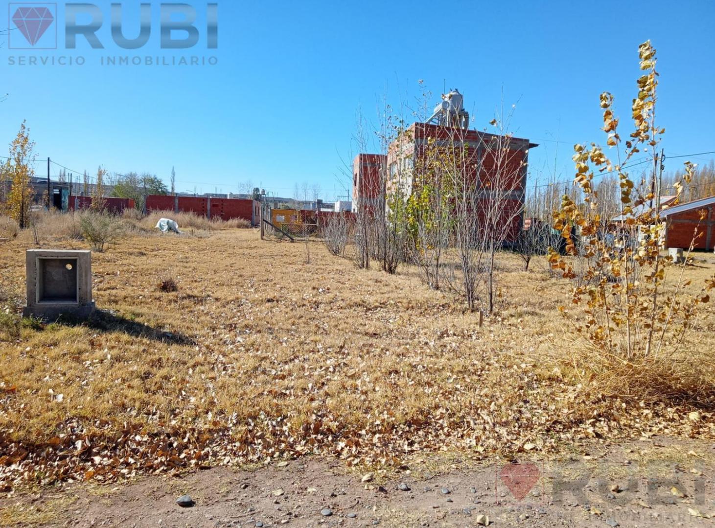 Foto de TERRENO EN VENTA EN LOS FRUTALES NEUQUÉN, imagen 3