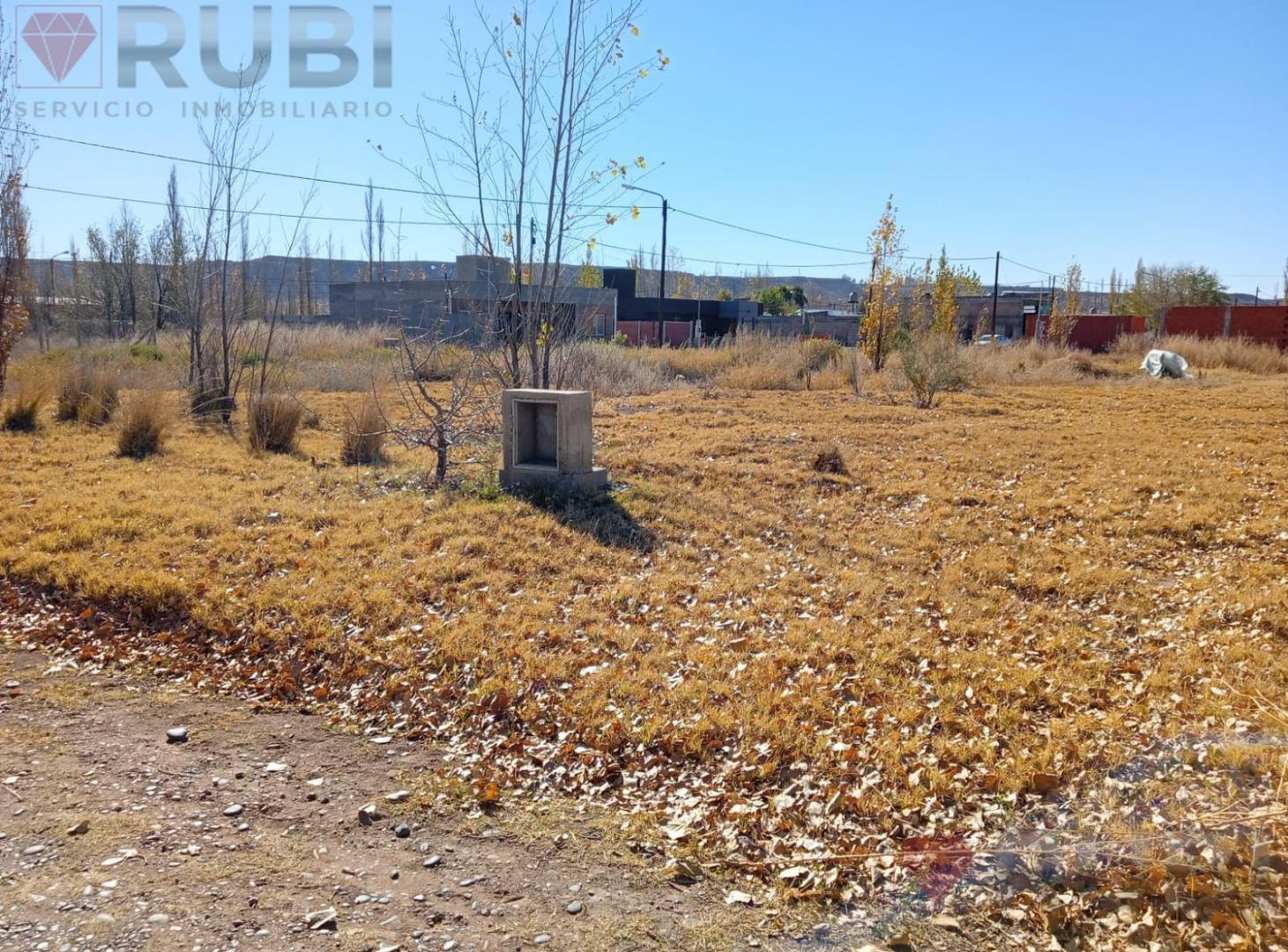Foto de TERRENO EN VENTA EN LOS FRUTALES NEUQUÉN, imagen 5