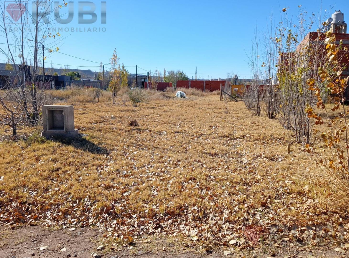 Foto de TERRENO EN VENTA EN LOS FRUTALES NEUQUÉN, imagen 2