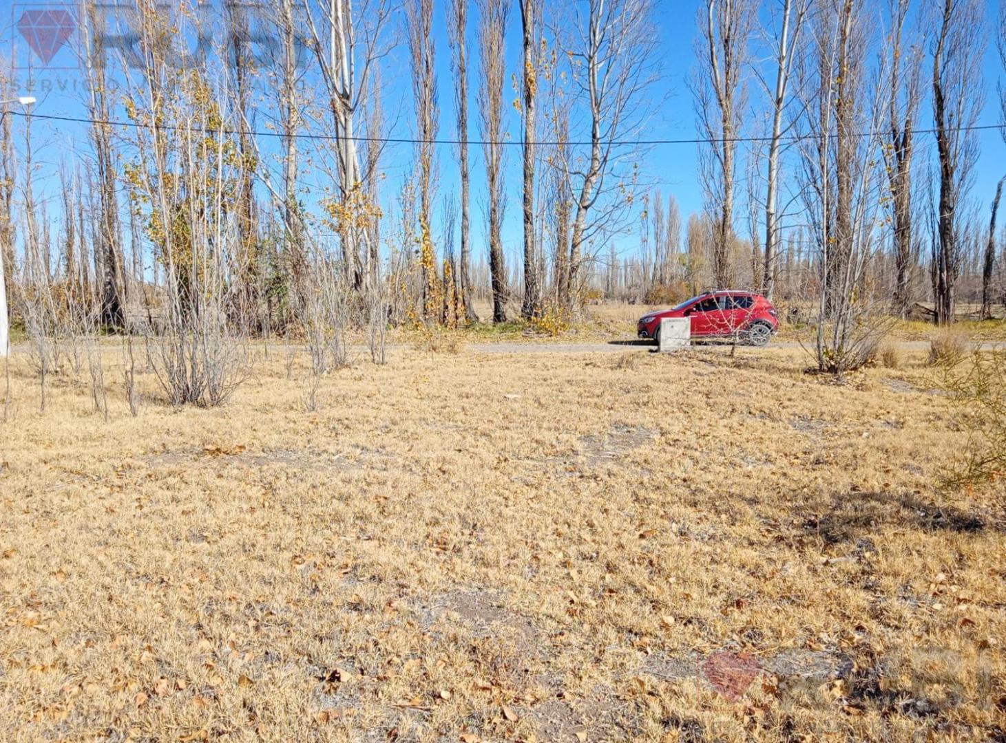 Foto de TERRENO EN VENTA EN LOS FRUTALES NEUQUÉN, imagen 4