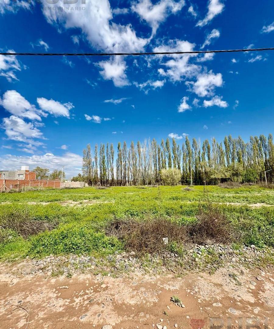 Foto de TERRENO EN CONFLUENCIA RURAL, imagen 1
