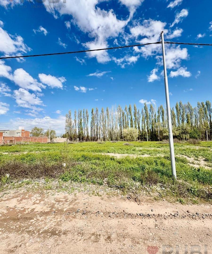 Foto de TERRENO EN CONFLUENCIA RURAL, imagen 4