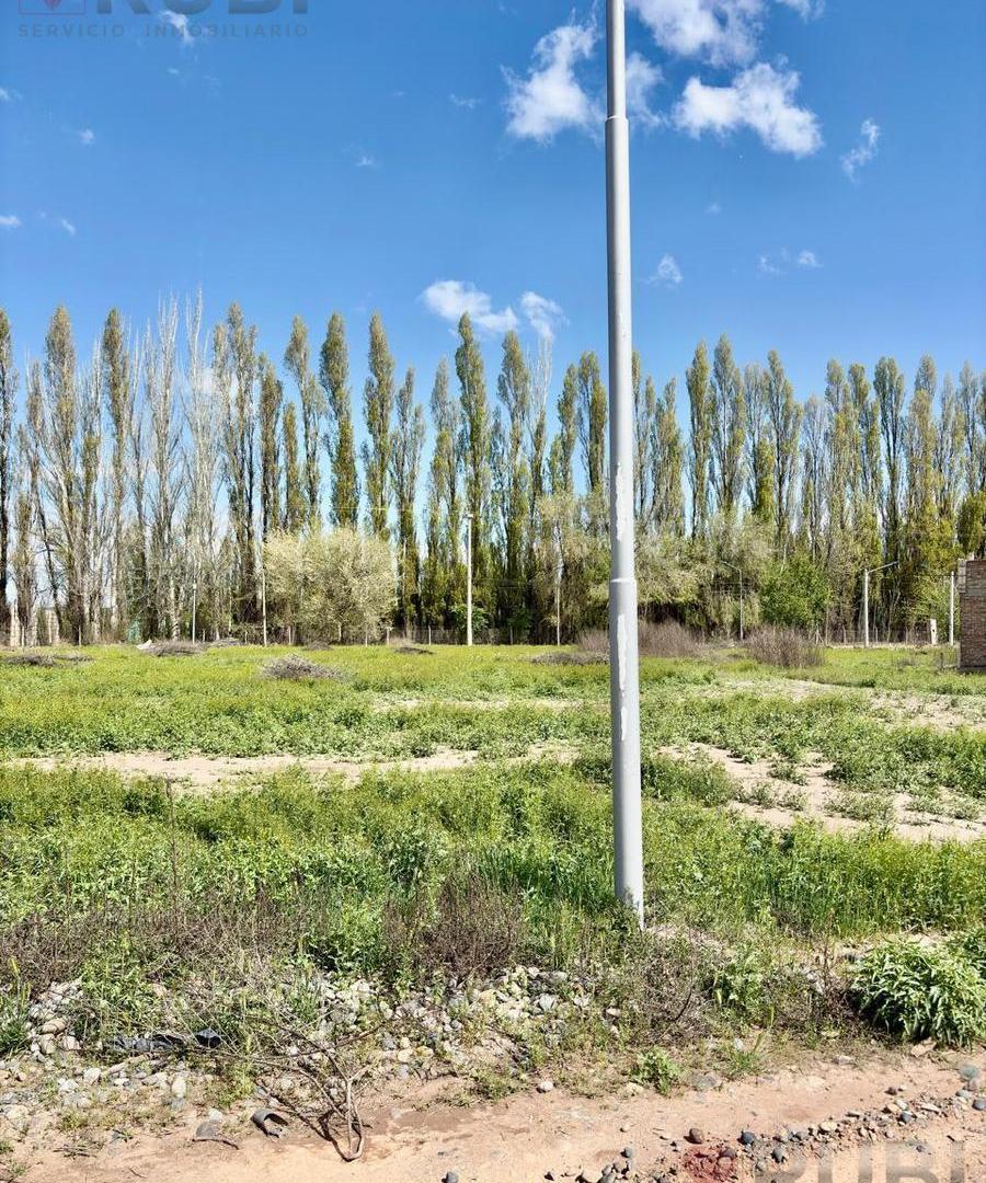 Foto de TERRENO EN CONFLUENCIA RURAL, imagen 5