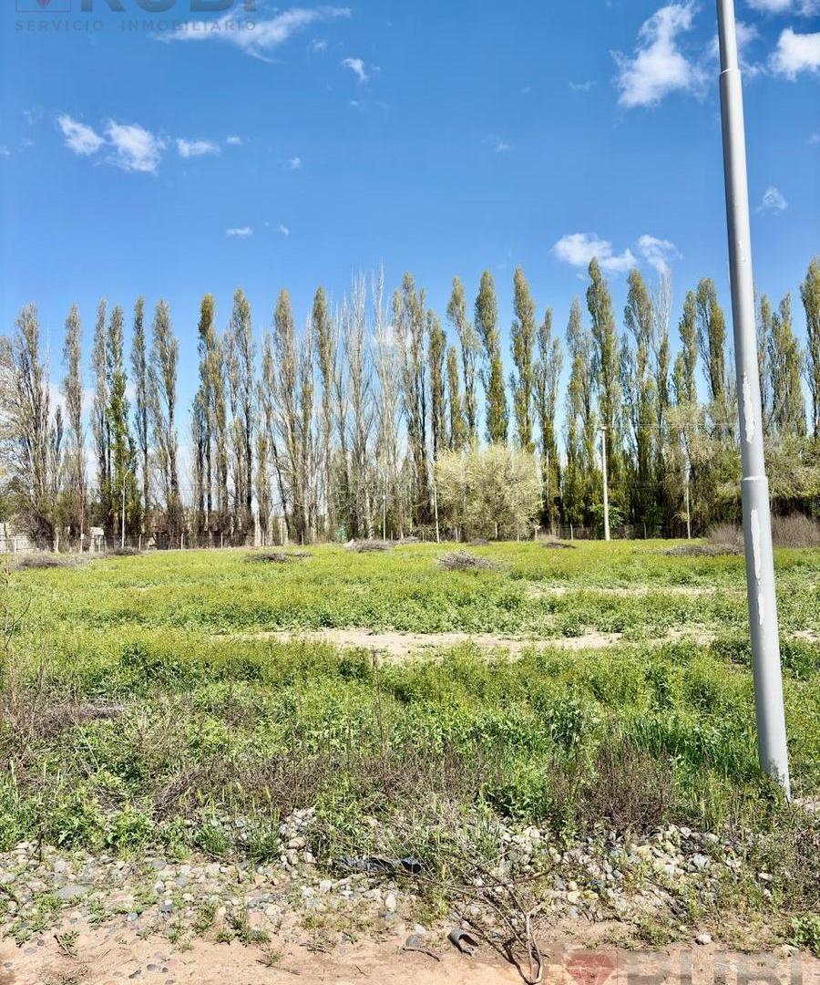 Foto de TERRENO EN CONFLUENCIA RURAL, imagen 2